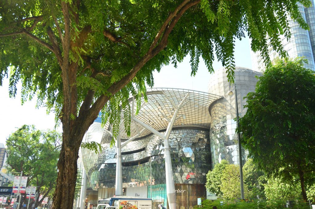 fun-places-to-go-in-singapore fun-places-to-go-in-singapore