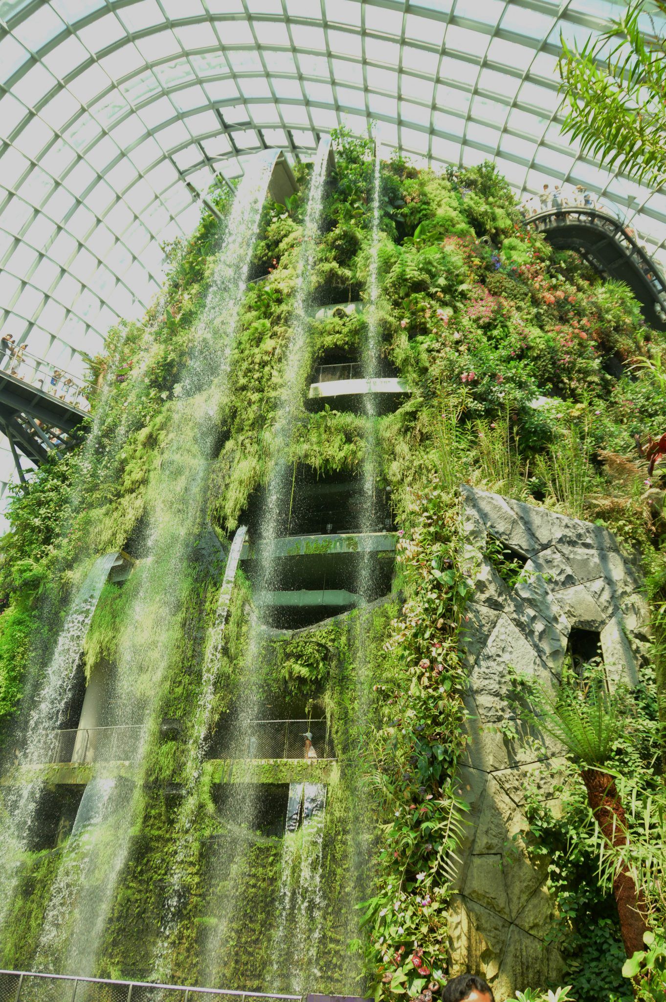 The world's largest indoor waterfall in singapore gardens by the bay