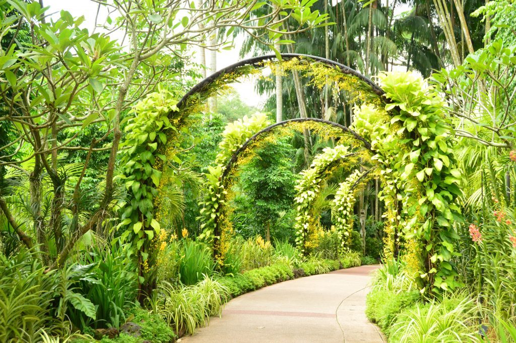 fun-places-to-go-in-singapore fun-places-to-go-in-singapore
