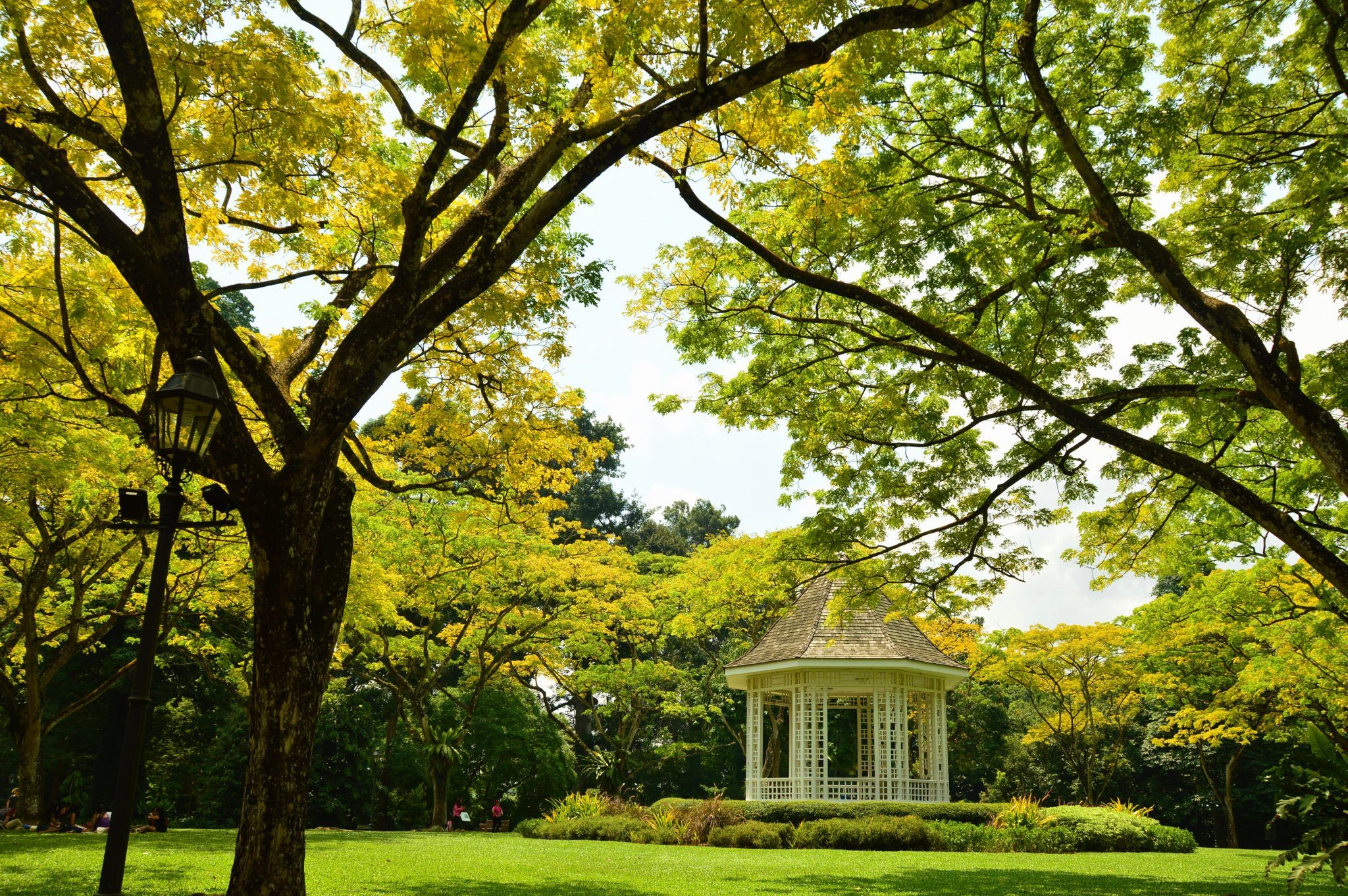 One Day in Singapore: Hidden Gems & Classics 18 A gazebo in the Botanic Gardens of Singapore