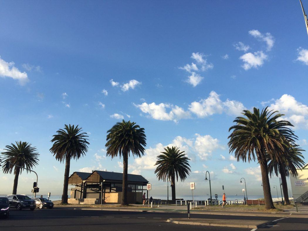The St Kilda Esplanade with palm trees