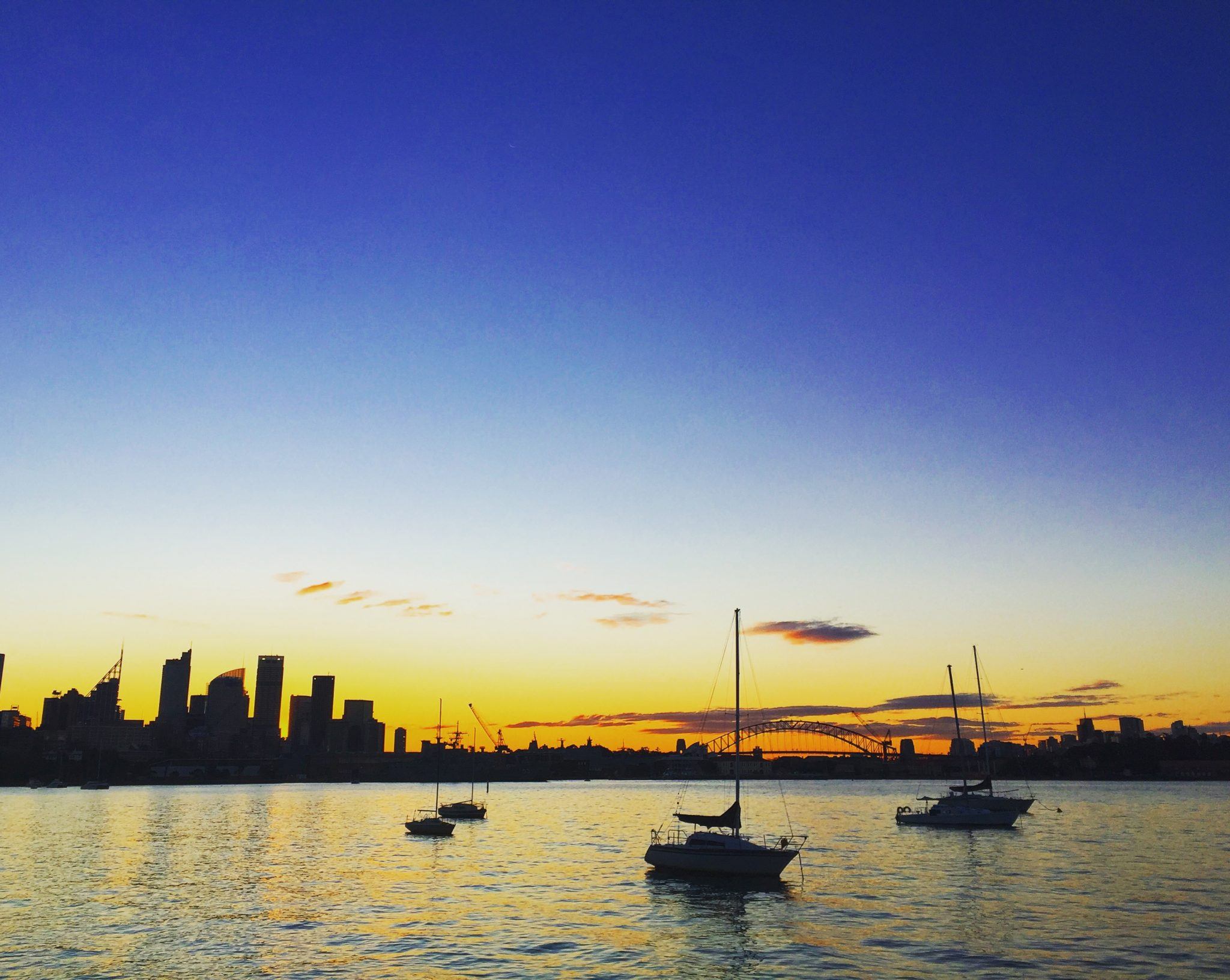 view of the sydney skyline with harbour and boats in front at sunset