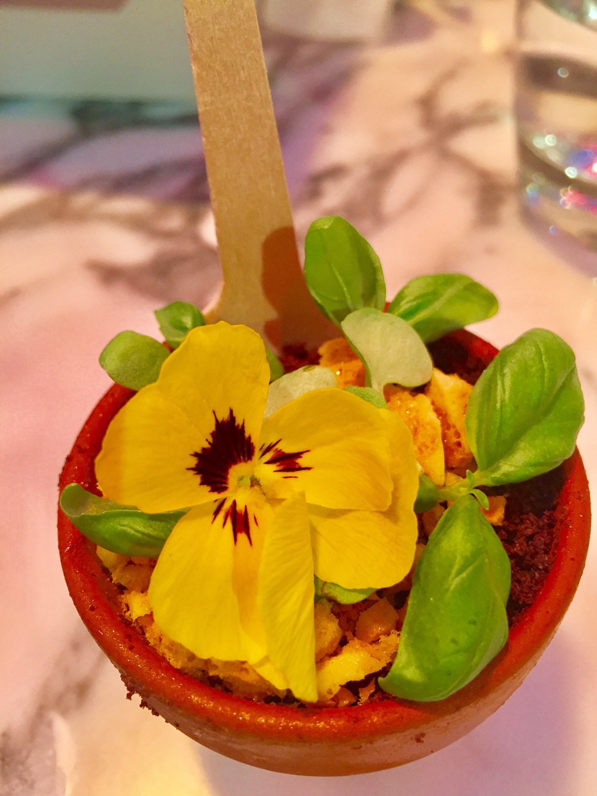 small pot with a yellow flower as dessert at the sanderson hotel mad hatters afternoon tea