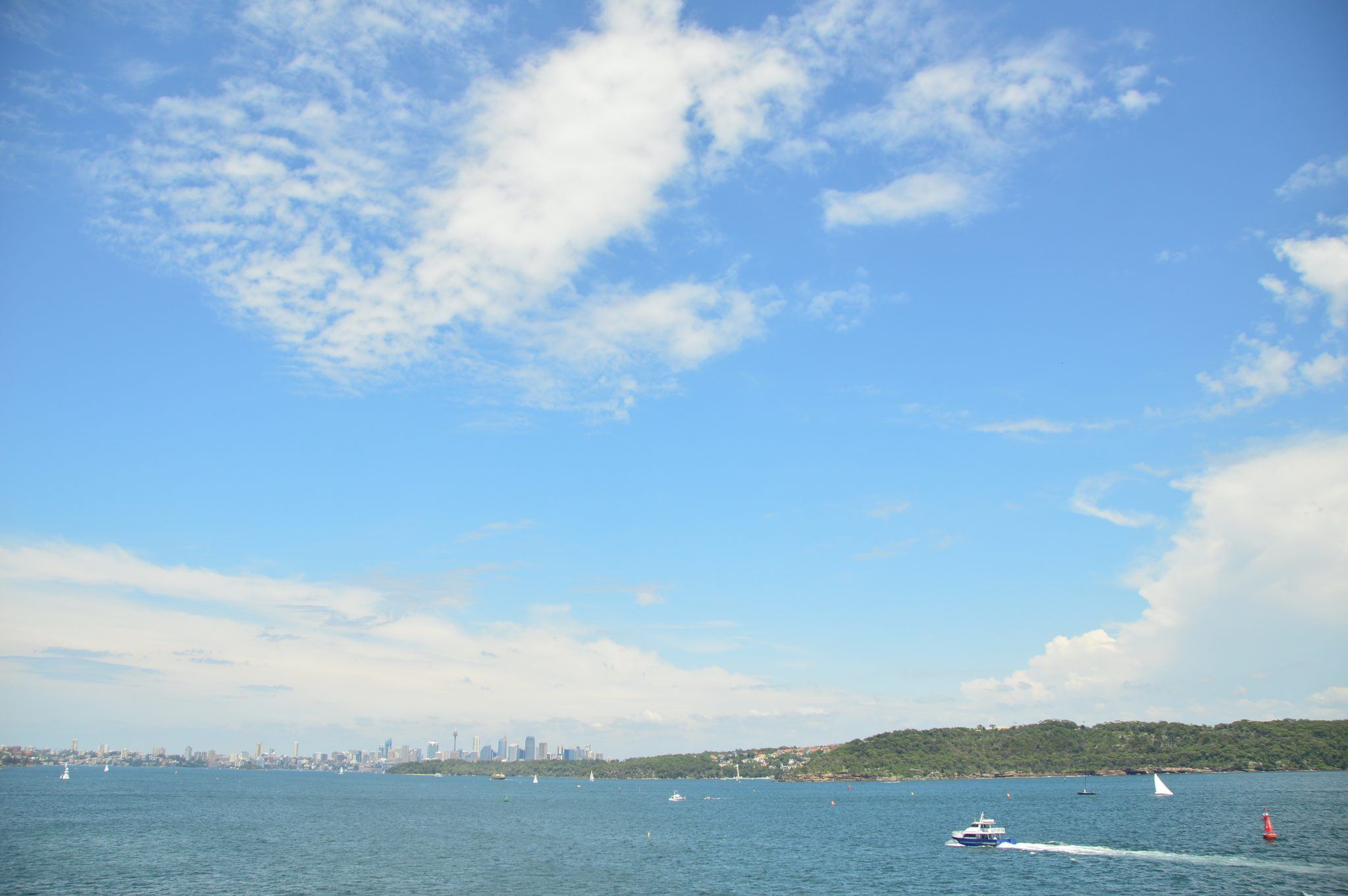 wide view of the sydney skyline and sky from watsons bay