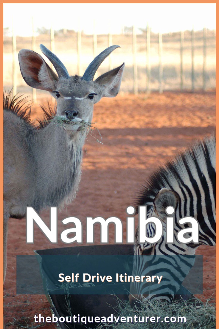 Heading to Namibia? Here is a 10 night Self Drive Namibia Itinerary that covers the Kalahari desert, Fish River Canyon, Sossusvlei and Swakopmund #namibia