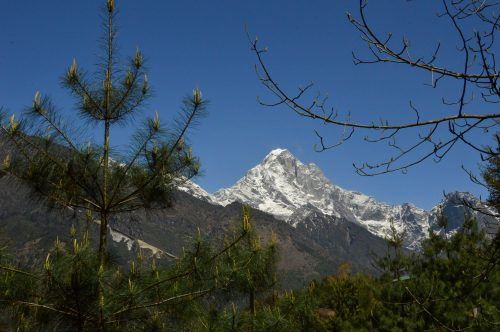 snow capped market through trees himalayas nepal snow capped market through trees himalayas nepal