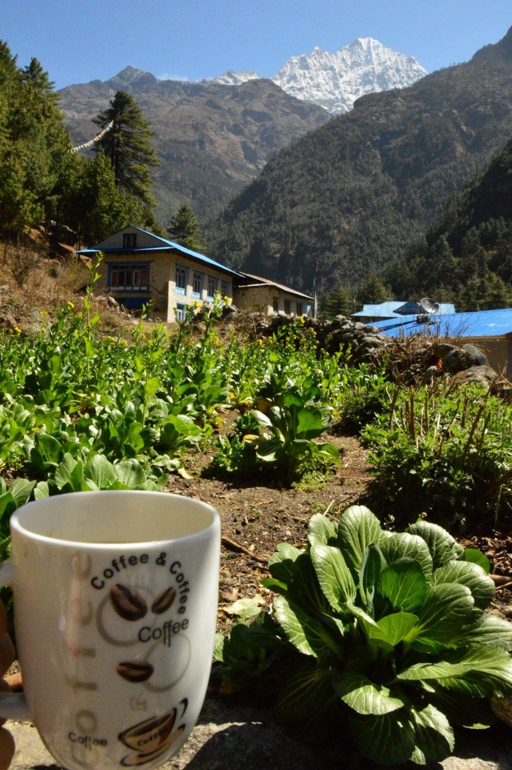 Nepal Tea House: What to Expect on the Everest Base Camp Trek 19 mug with plants and mountain in background everest base camp trek