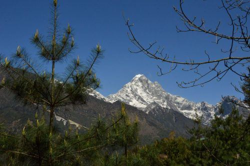 view of the top of mt everest with trees framing it nepal itinerary travel guide