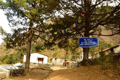 sing in front of trees and buildings on everest base camp trek sing in front of trees and buildings on everest base camp trek