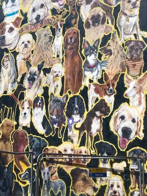 street art featuring different dogs in Brighton