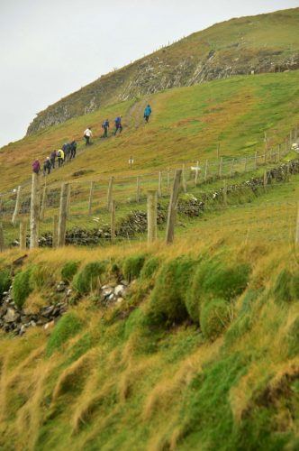 walk up grassy hill to dunmore head dingle peninsula ireland walk up grassy hill to dunmore head dingle peninsula ireland