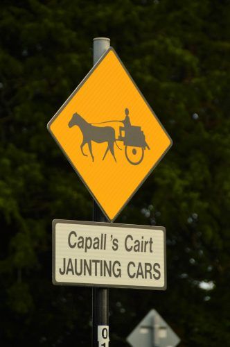 jaunting cart sign in killarney ireland jaunting cart sign in killarney ireland