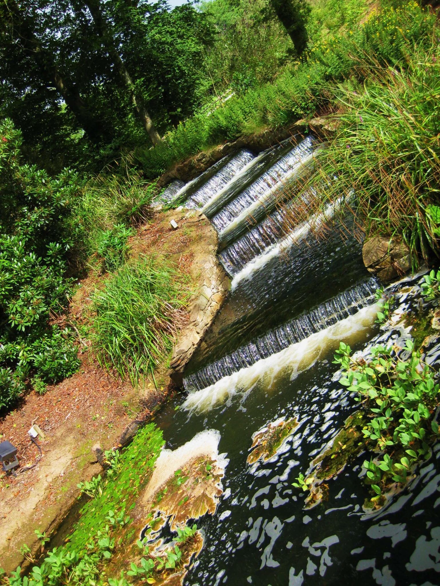 Monart Spa Ireland Review 9 lake and waterfall surrounded by greenery monart spa ireland