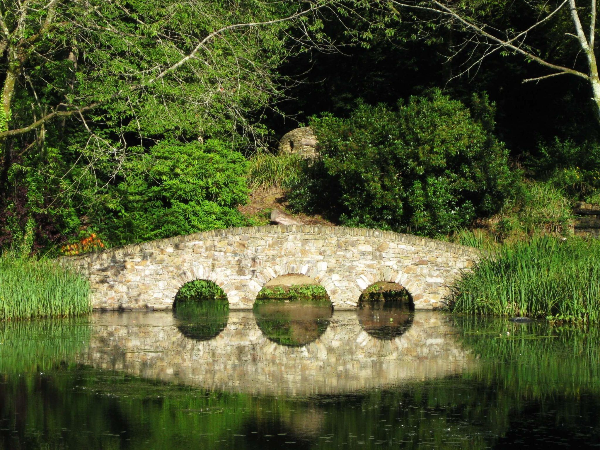 bridge reflected in lake monart spa ireland