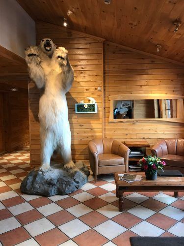 stuffed polar beat in the lobby at hotel ranga iceland