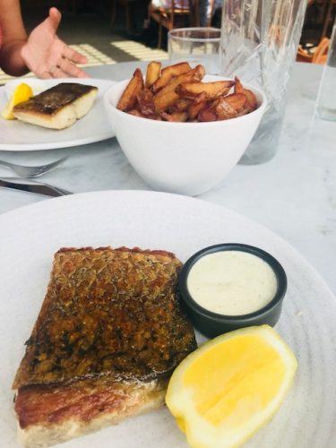 Love fish barangaroo barramundi