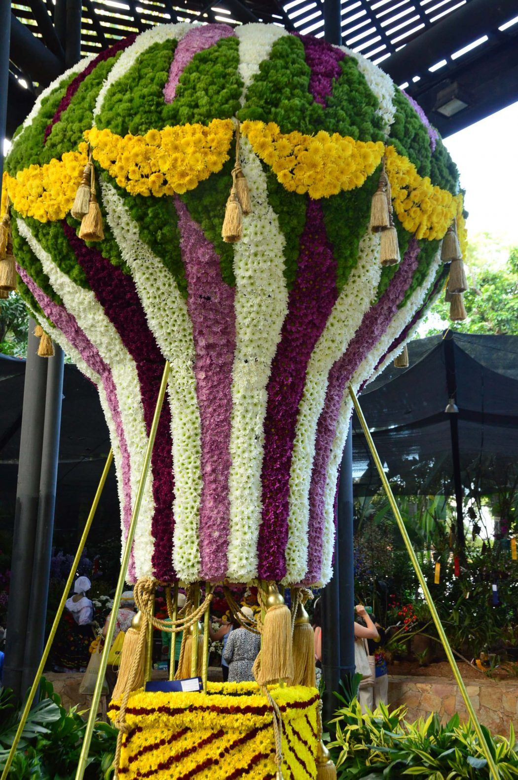 display of hot air balloon botanical gardens