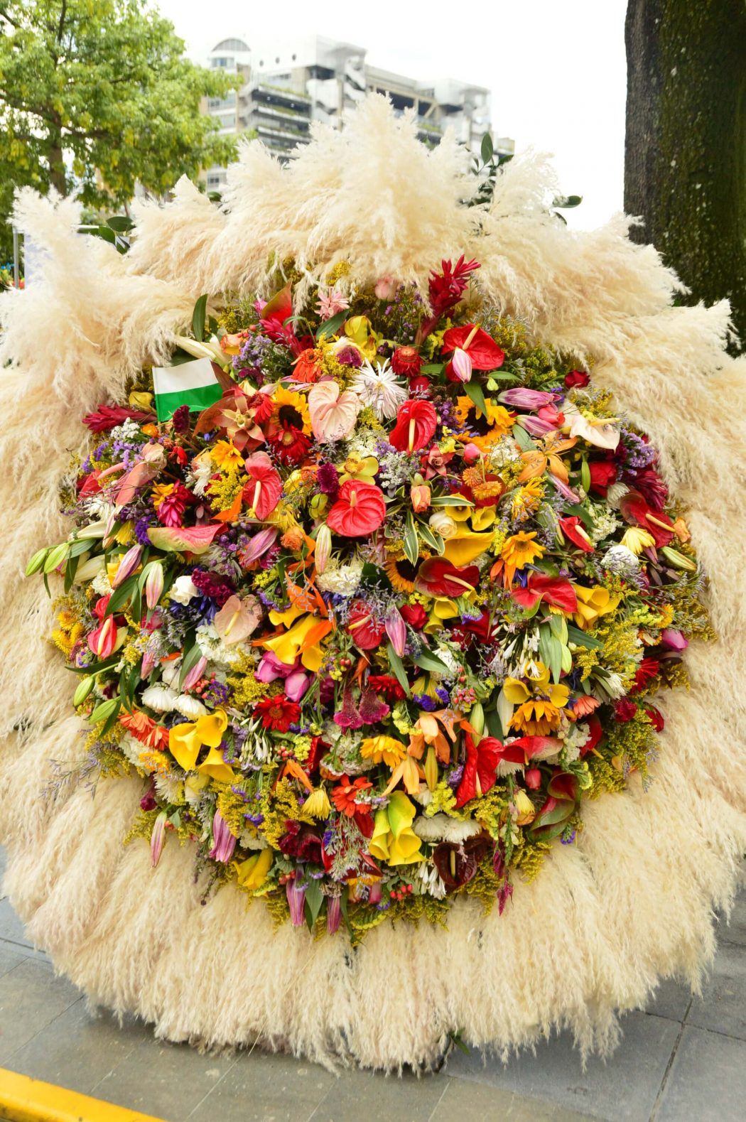 floral display in plaza mayor