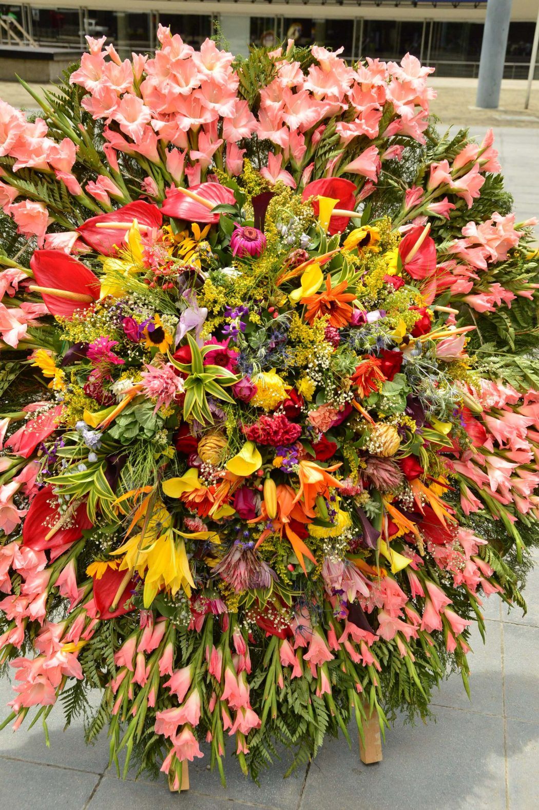 floral display at plaza mayor