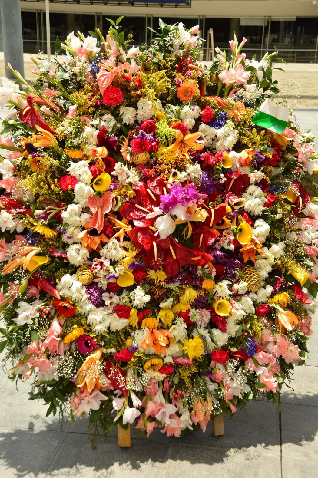 flowers on display plaza mayor