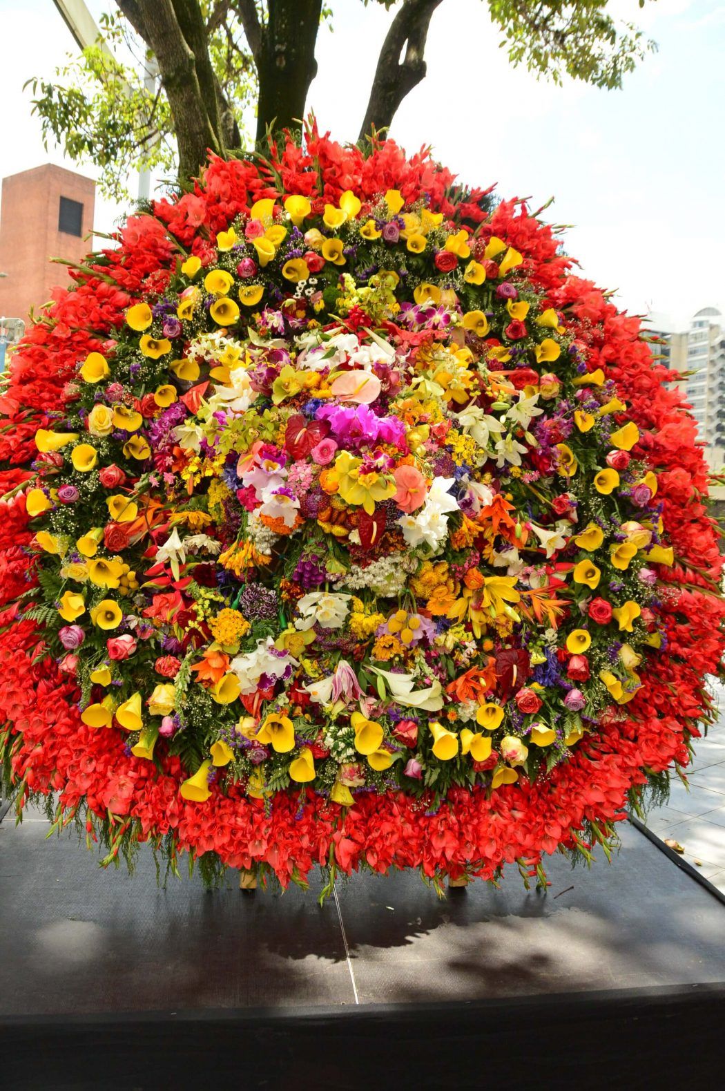 feria de las flores medellin winnaar