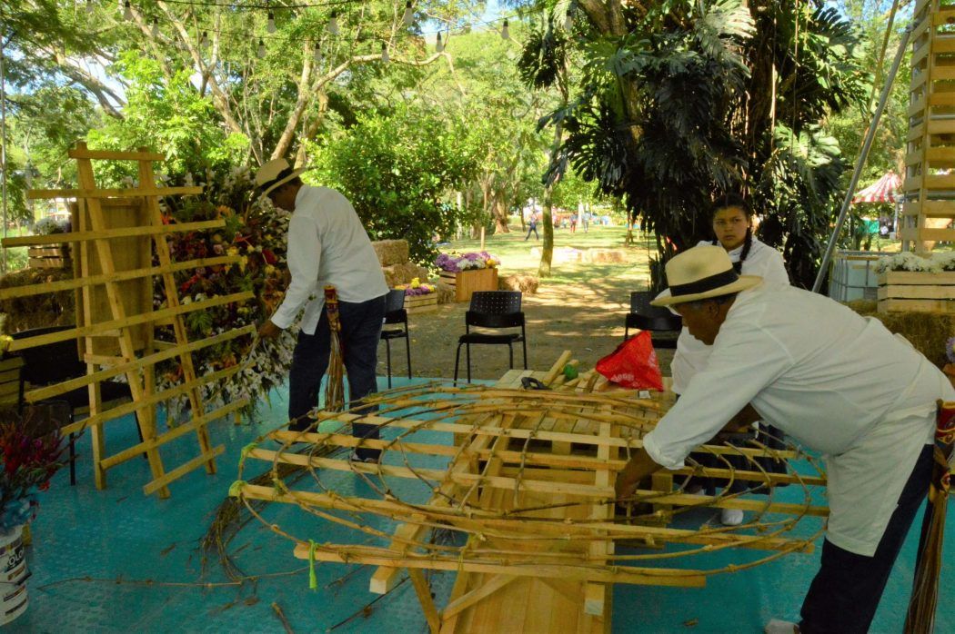 Homens preparando os silleteros da feria de las flores