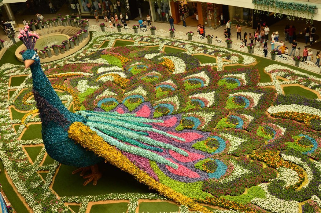 feria de las flores medellin at santa fe mall