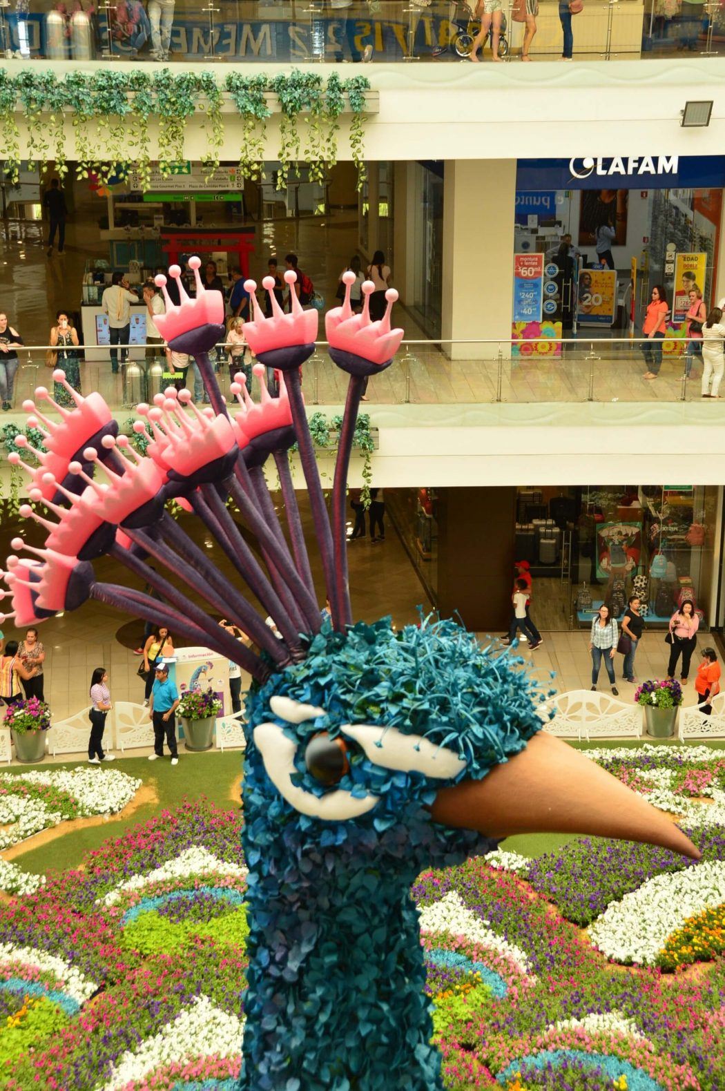 floral peacock at santa fe mall