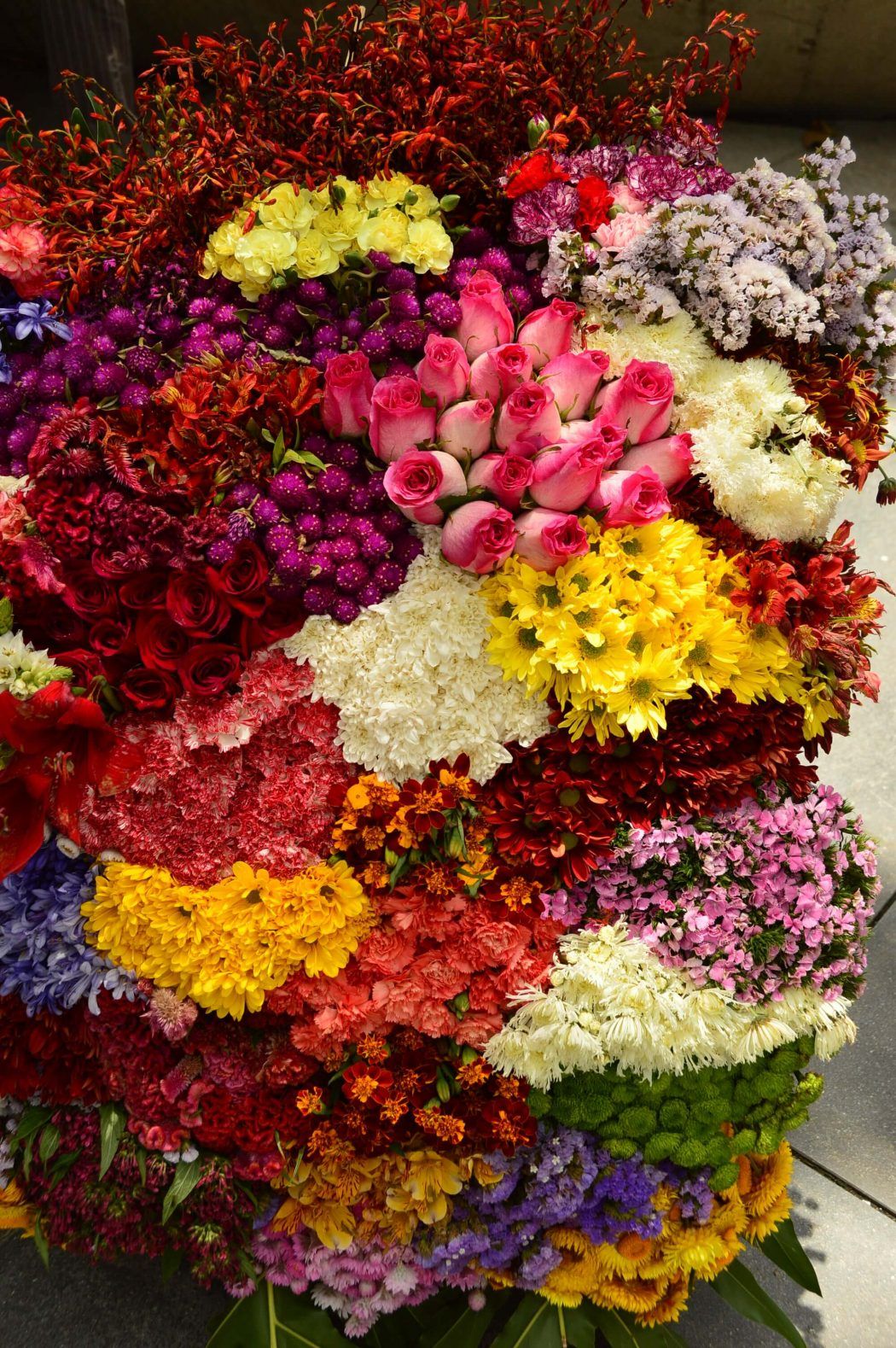 festival de las flores display