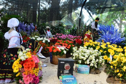 feria de las flores medellin