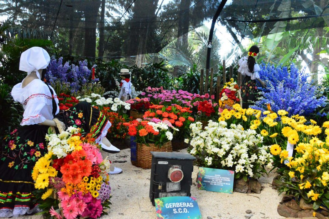 medellin flower festival display