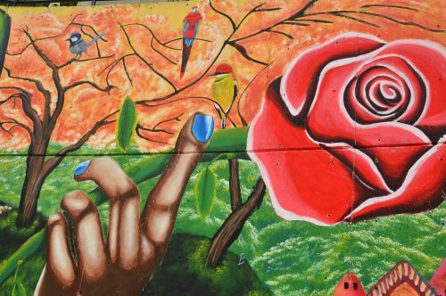 things to do in medellin colombia