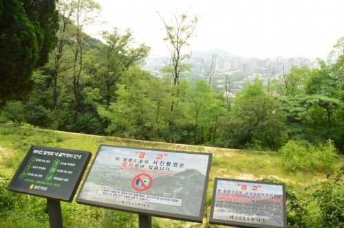 2 weeks in south korea