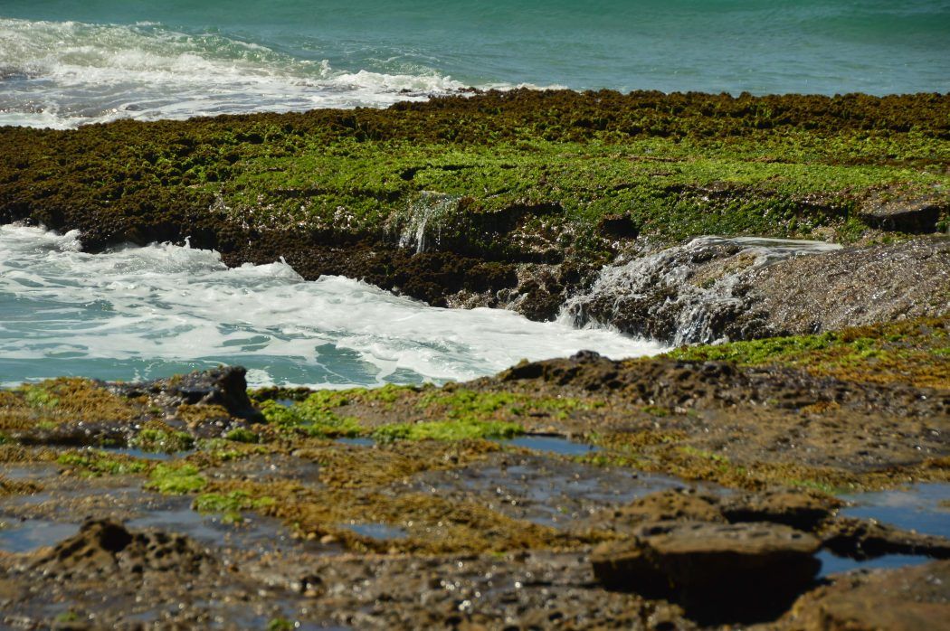 10 Best Weekend Getaways From Sydney for Boutique Hotel Lovers 25 waves and rocks with moss up close