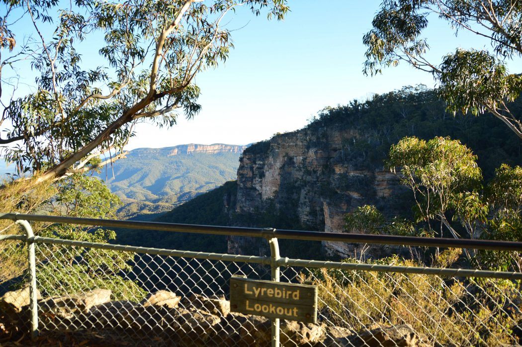 10 Best Weekend Getaways From Sydney for Boutique Hotel Lovers 19 lyrebird lookout in the blue mountains