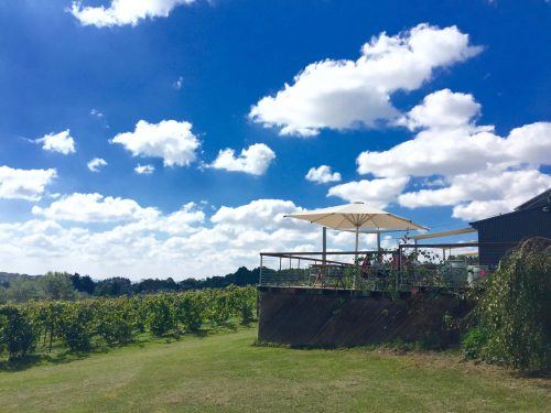 wineries nsw
