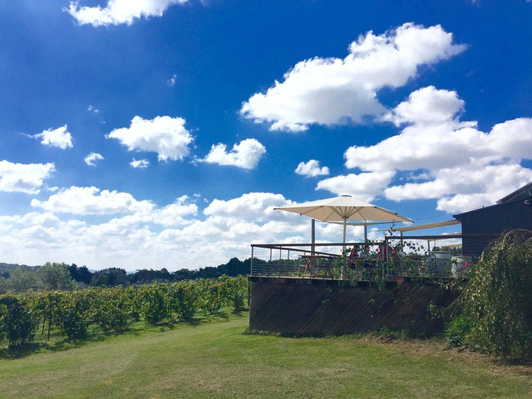 10 Best Weekend Getaways From Sydney for Boutique Hotel Lovers 10 The outdoor seating area at Lark Winery with a view of the vineyards