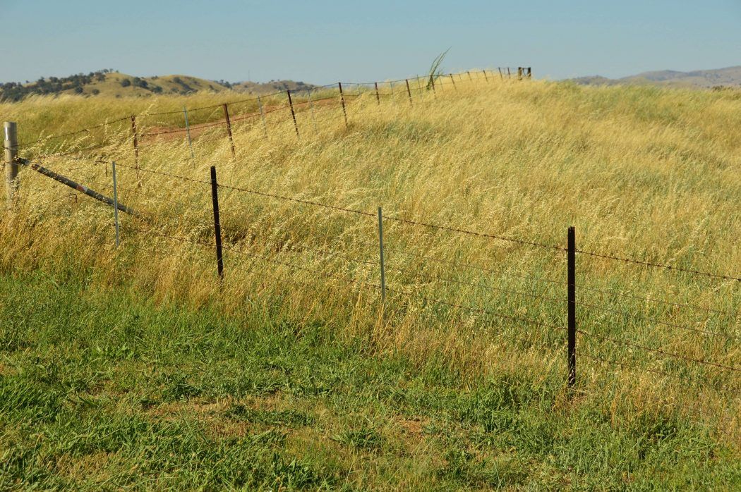 10 Best Weekend Getaways From Sydney for Boutique Hotel Lovers 27 typical australia fields with a light fence