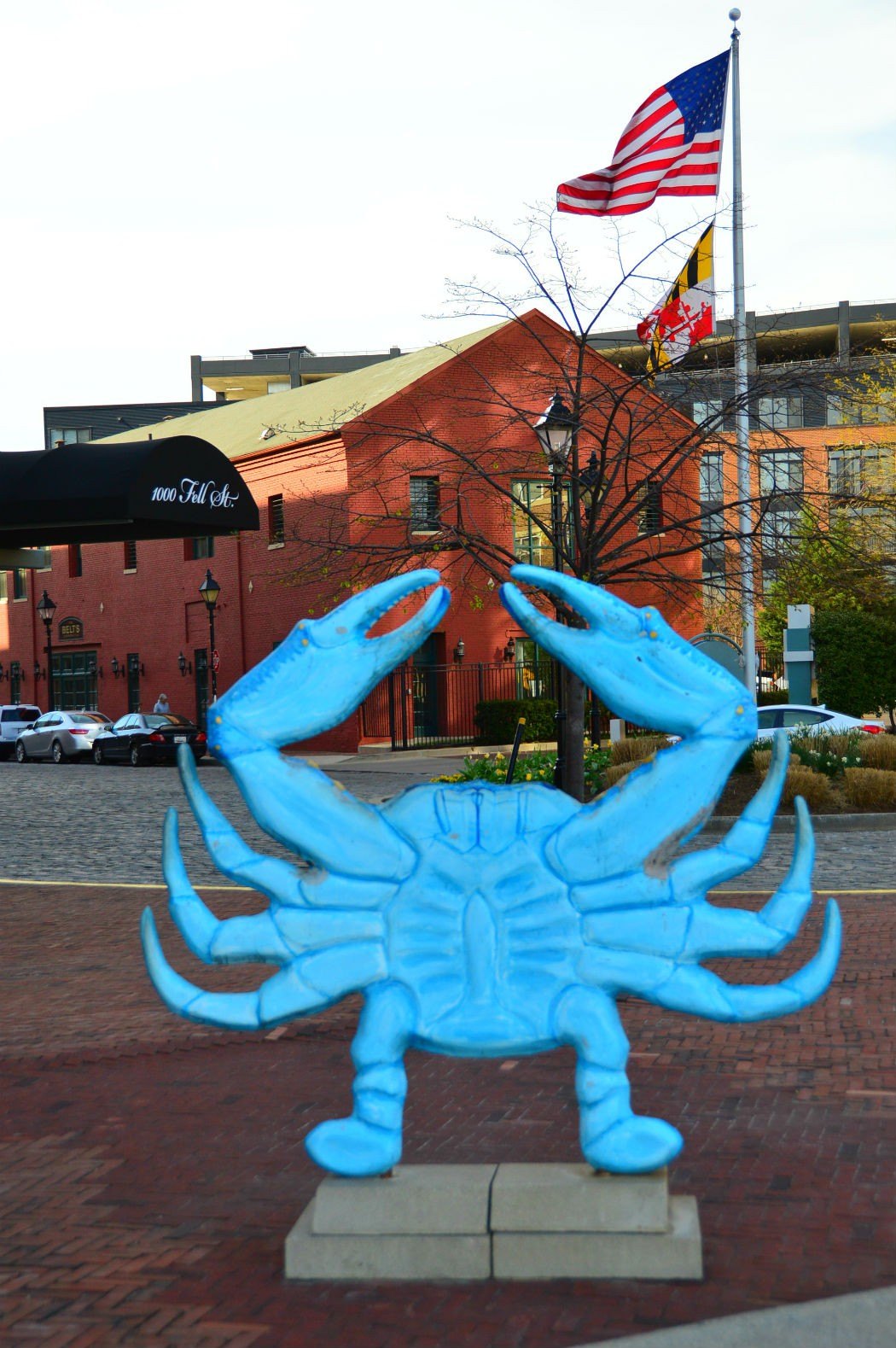 fell's point blue crab