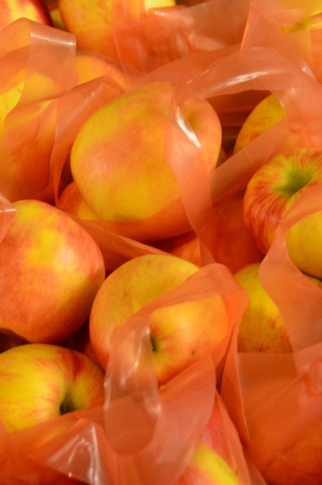Halifax Farmers Market: Everything You Need to Know 5 up close image of multiple apples