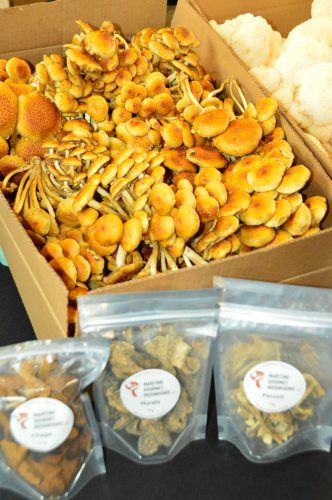 mushrooms at seaport market