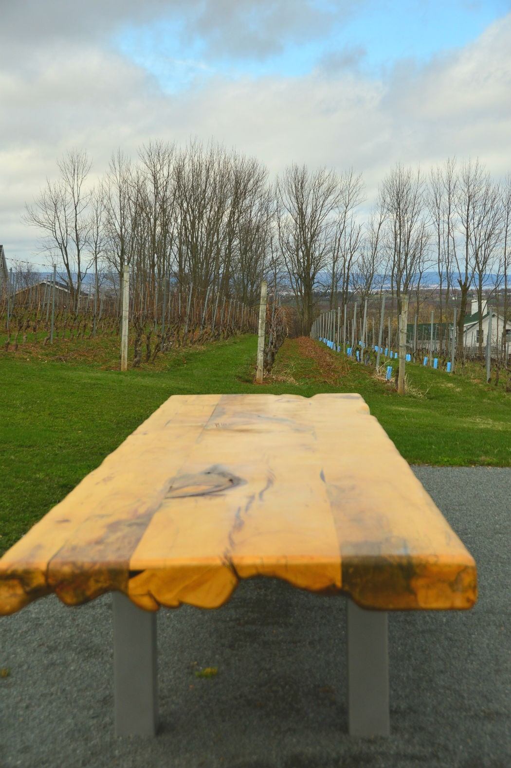 9 Best Wolfville Wineries (2022) You Won't Want to Miss 12 Bench in the vineyards of wolfville