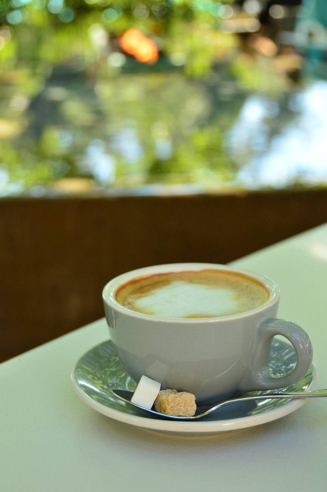 Solage Spa & Hotel Review Calistoga 18 Cup of white coffee in a saucer with pool in background
