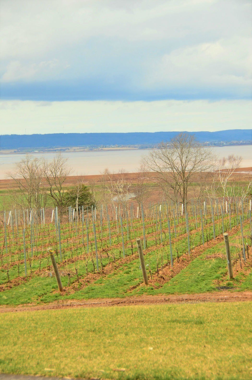 9 Best Wolfville Wineries (2022) You Won't Want to Miss 22 wolfville vineyards nova scotia
