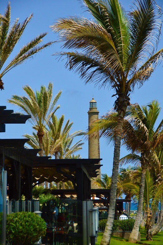 8 Best Things to do in Maspalomas 11 palm trees and the lighthouse of Maspalomas