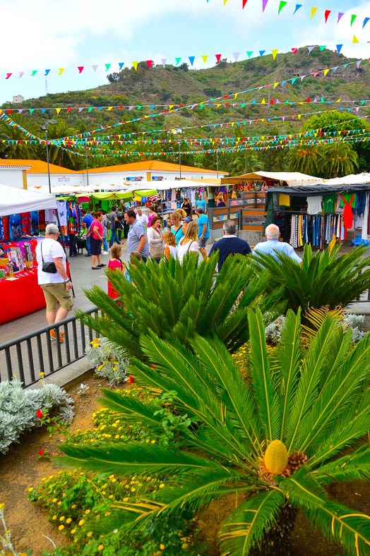 7 Best Gran Canaria Markets You Won't Want to Miss 9 palm plant and people and market stalls at san mateo market gran canaria
