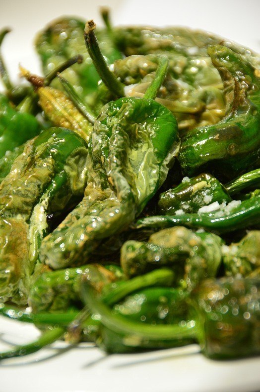 padron peppers up close