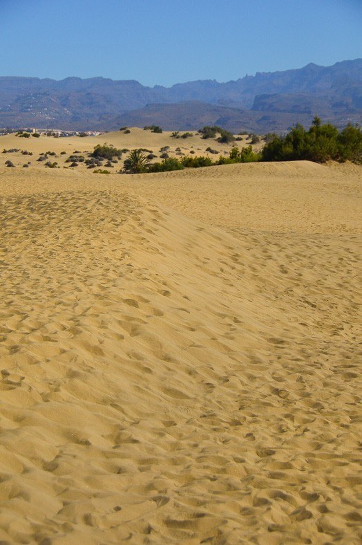 sand on maspalomas beach heading into the dunes