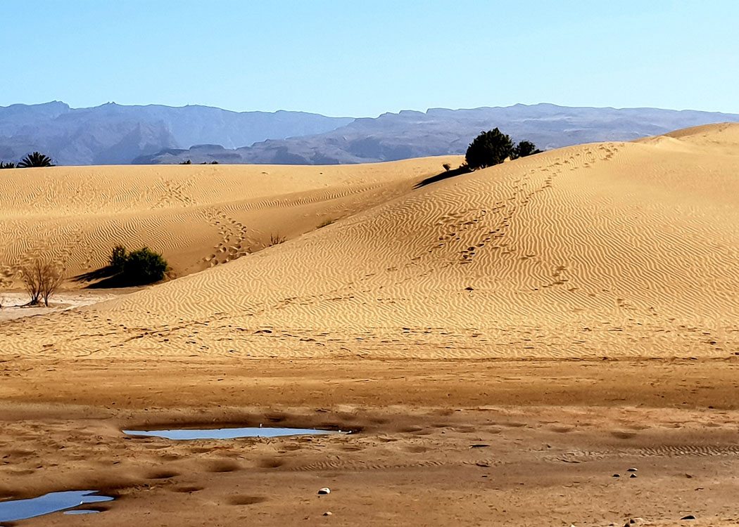 20 Best Gran Canaria Excursions - Great Tours & Day Trips for Adults 2 Dunes of Maspalomas Gran Canaria