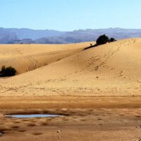 things-to-do-in-maspalomas